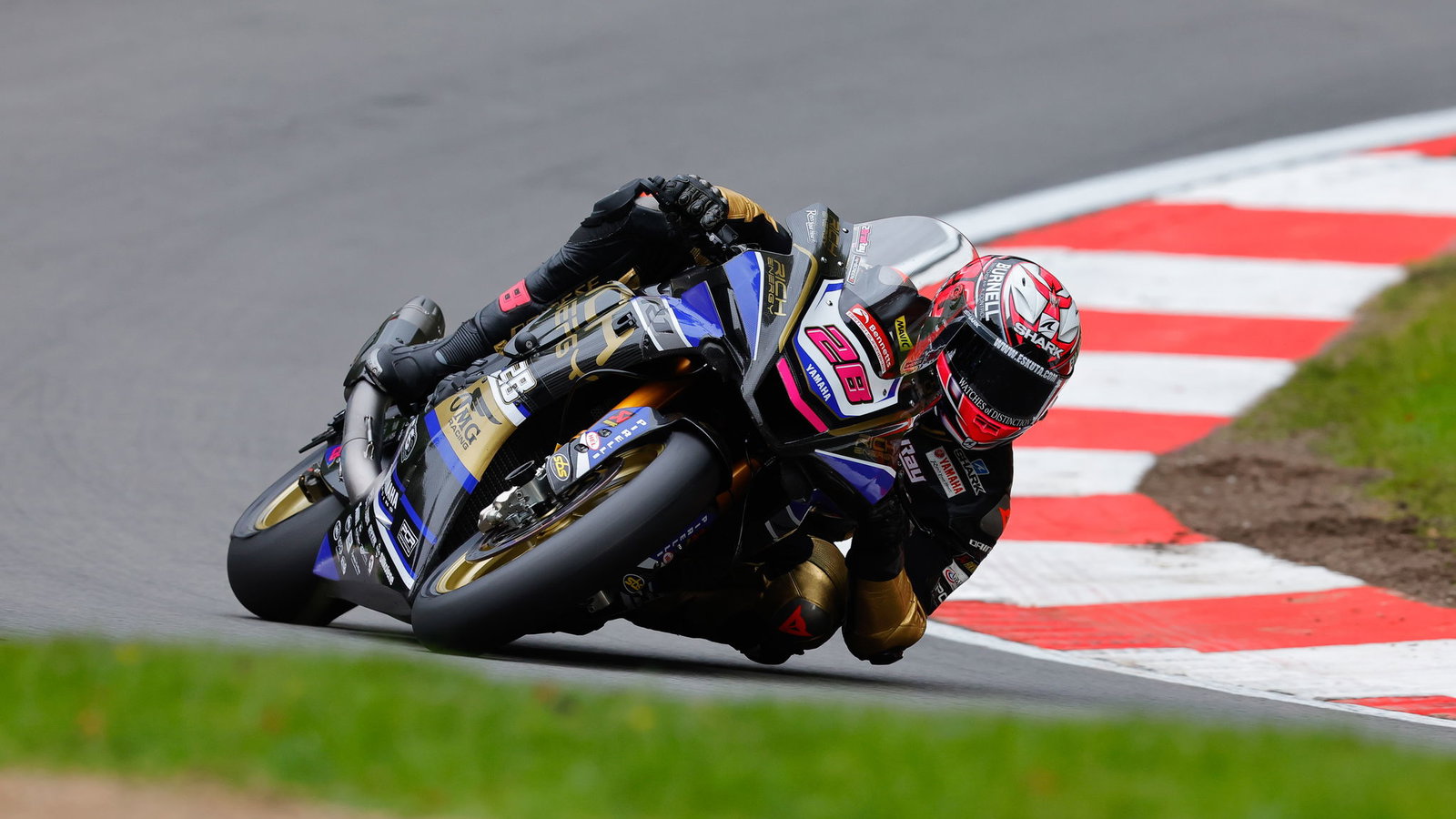 Bradley Ray BSB Champion Brands Hatch 2022